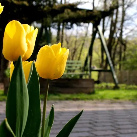 Malinowa Kuznia Bed & Breakfast Wlodzice Wielkie