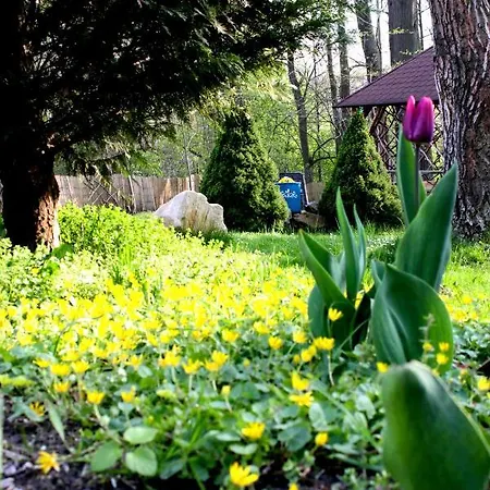 Bed & Breakfast Malinowa Kuznia Wlodzice Wielkie