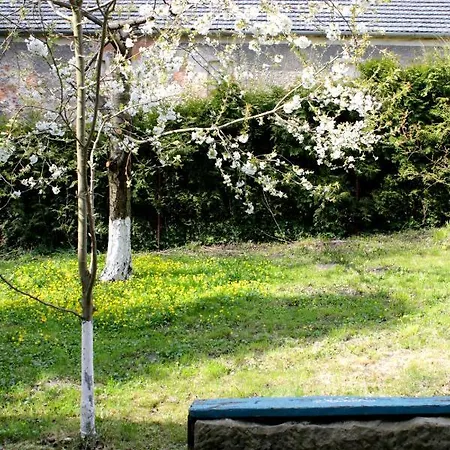 Malinowa Kuznia Bed & Breakfast *