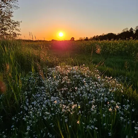 Bed & Breakfast Malinowa Kuznia