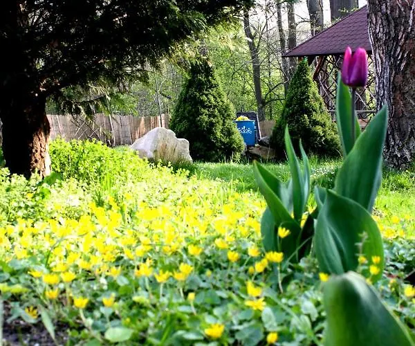 Bed & Breakfast Malinowa Kuznia Wlodzice Wielkie