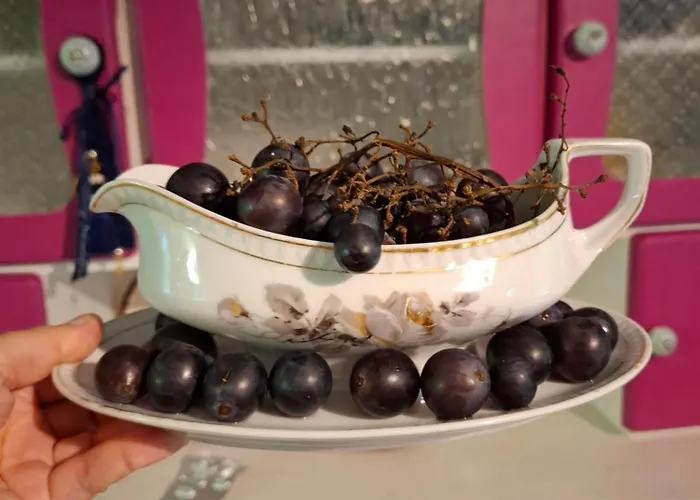 Bed & Breakfast Malinowa Kuznia 3*