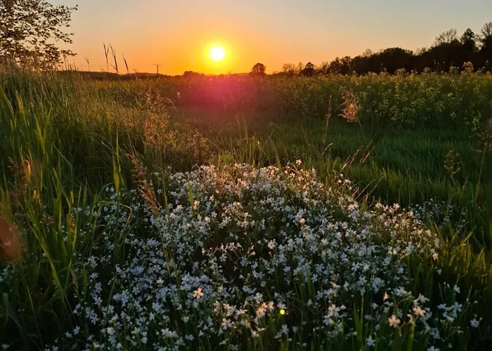 Bed & Breakfast Malinowa Kuznia